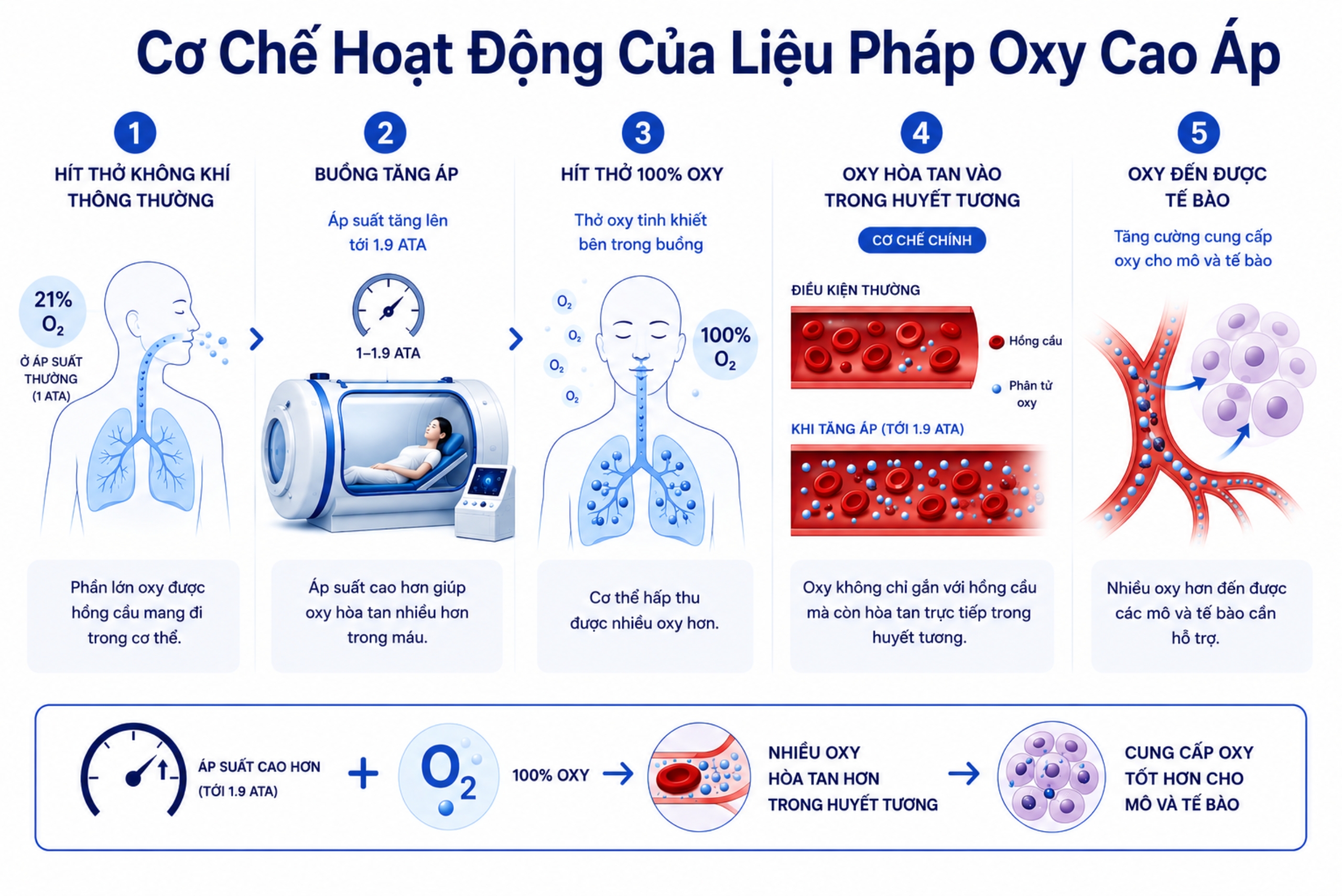 co che hoat dong cua lieu phap hbot